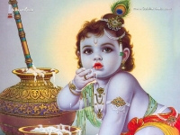 Krishna-1024X768_393