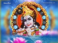 Krishna-1024X768_401