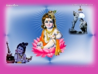 Krishna-1024X768_403