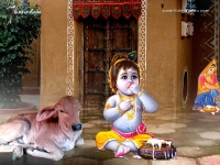 Krishna-1024X768_404