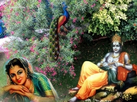 Krishna-1024X768_40