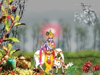Krishna-1024X768_417