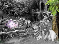 Krishna-1024X768_436