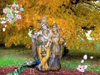 Krishna-1024X768_437