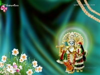 Krishna-1024X768_445