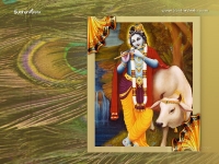 Krishna-1024X768_48