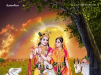 Krishna-1024X768_493
