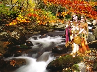 Krishna-1024X768_505