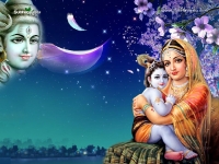 Krishna-1024X768_506