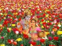 Krishna-1024X768_514