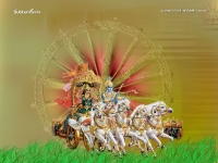 Krishna-1024X768_553