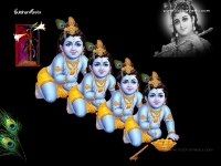 Krishna-1024X768_559