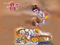 Krishna-1024X768_561