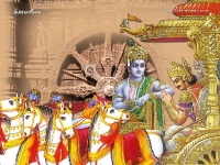 Krishna-1024X768_562