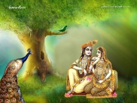 Krishna-1024X768_56