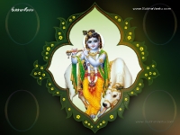 Krishna-1024X768_592