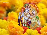 Krishna-1024X768_594