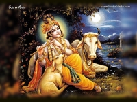Krishna-1024X768_598
