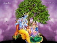 Krishna-1024X768_603