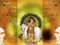 Krishna-1024X768_604