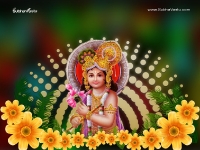Krishna-1024X768_622