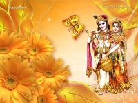 Krishna-1024X768_623