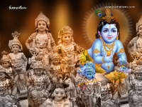 Krishna-1024X768_634