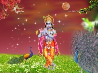 Krishna-1024X768_639
