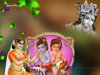 Krishna-1024X768_646