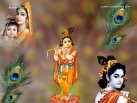 Krishna-1024X768_651