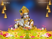 Krishna-1024X768_65