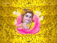 Krishna-1024X768_664