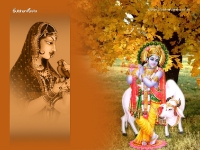 Krishna-1024X768_675