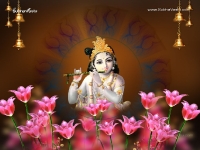 Krishna-1024X768_67
