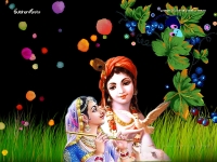 Krishna-1024X768_694