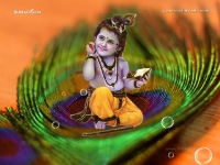 Krishna-1024X768_69