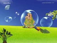 Krishna-1024X768_713