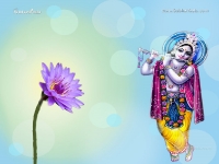 Krishna-1024X768_727