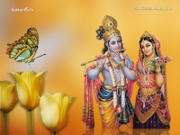 Krishna-1024X768_744