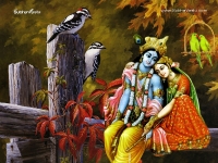Krishna-1024X768_753