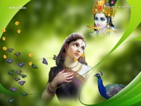 Krishna-1024X768_759