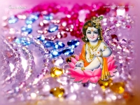Krishna-1024X768_75