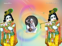 Krishna-1024X768_763