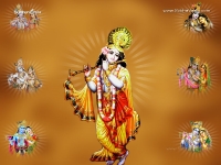 Krishna-1024X768_76
