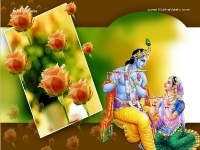 Krishna-1024X768_774