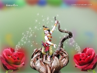 Krishna-1024X768_786