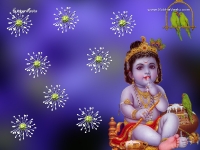 Krishna-1024X768_788