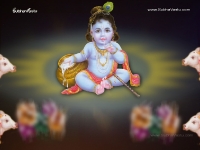Krishna-1024X768_78