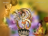 Krishna-1024X768_791