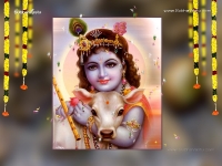 Krishna-1024X768_796